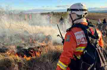 CBMPR intensifica treinamentos de Manejo Integrado do Fogo contra incêndios florestais